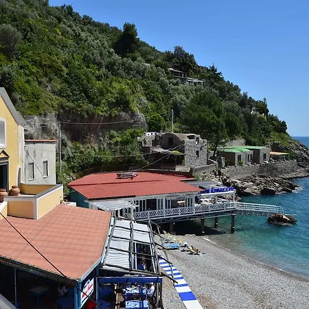 Apartman Mimi Sul Mare *